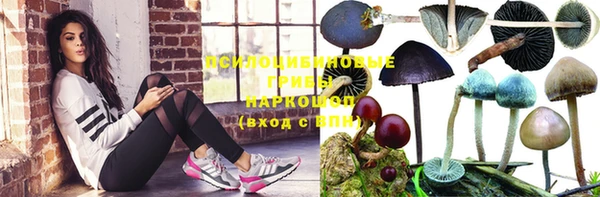 кокаин колумбия Алзамай