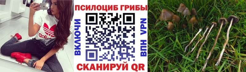 Псилоцибиновые грибы ЛСД  Николаевск 